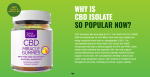 Anatomy One CBD Gummies (2).png