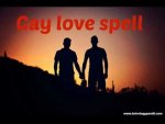 gay.jpg