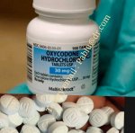 Oxy00.jpg