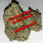 OG-Kush-Mints-weed-300x300.jpg