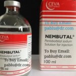nembutal-barbiturates-1760800399826-500x500 (1).jpg