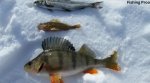 Fishing-Proo-13-1.jpg
